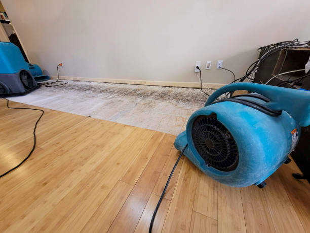 Professional Flood Damage Cleanup technician working in Dania, FL